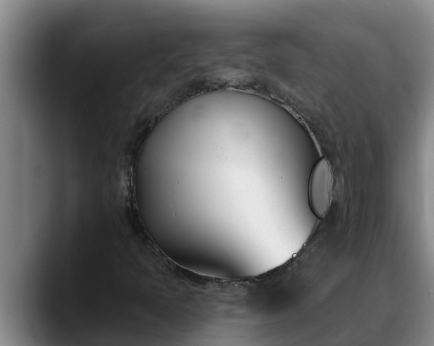 X0000090421397200707201110