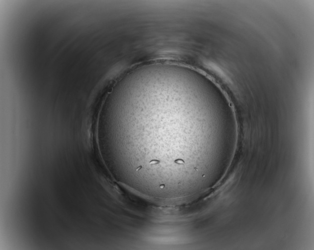 X0000090421403200707201110