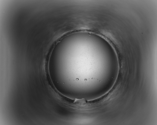 X0000090421404200707201110