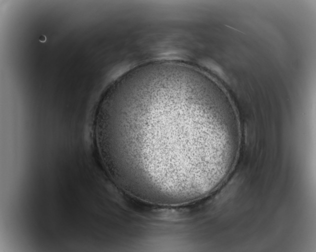 X0000090421405200707201110