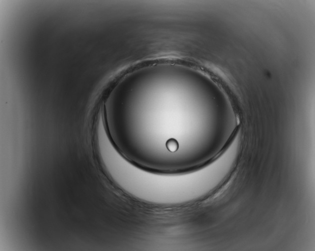 X0000090421406200707201110