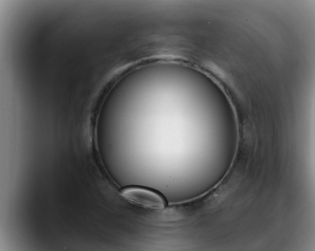 X0000090421408200707201110