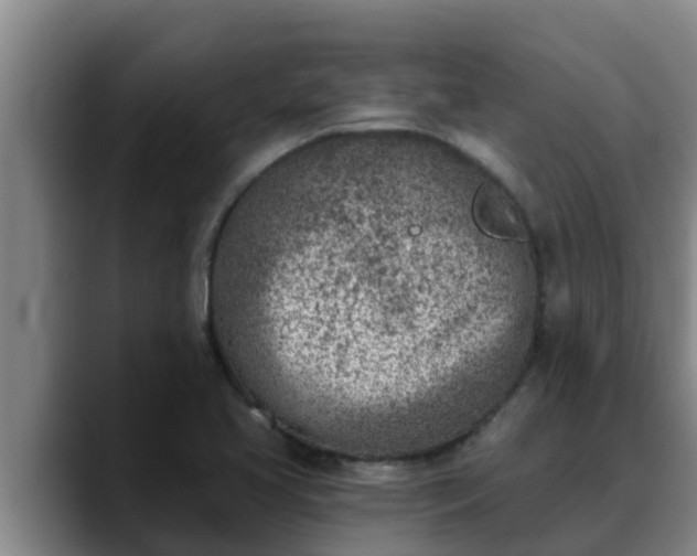 X0000090421413200707201110