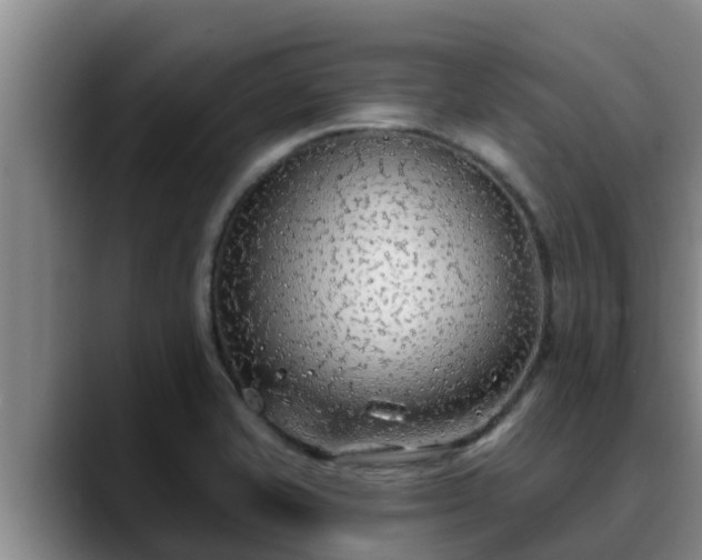 X0000090421421200707201110