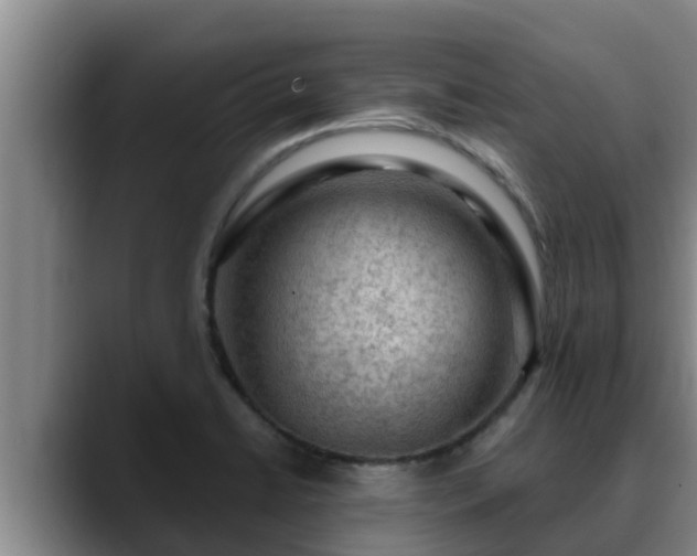 X0000090421422200707201110