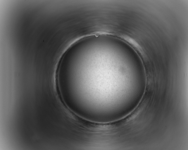 X0000090421423200707201110