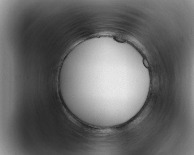 X0000090421425200707201110