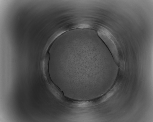 X0000090421426200707201110