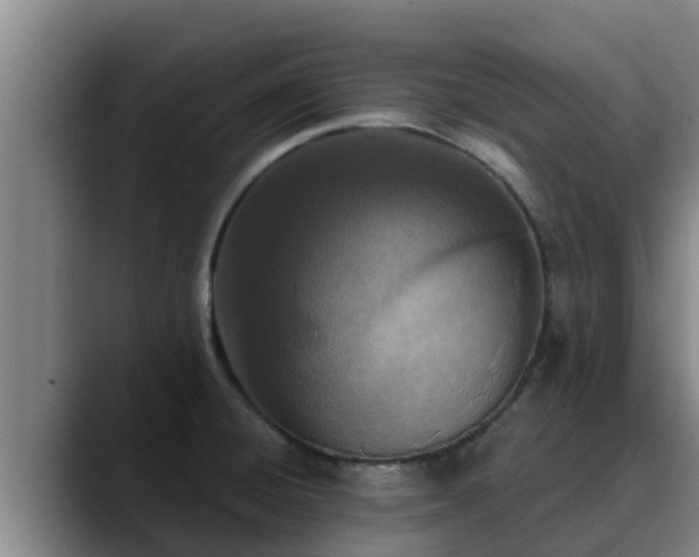 X0000090421428200707201110