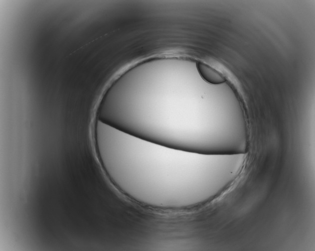 X0000090421429200707201110