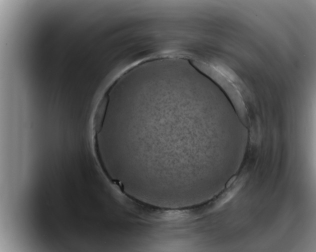 X0000090421430200707201110