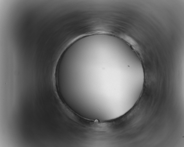 X0000090421431200707201110