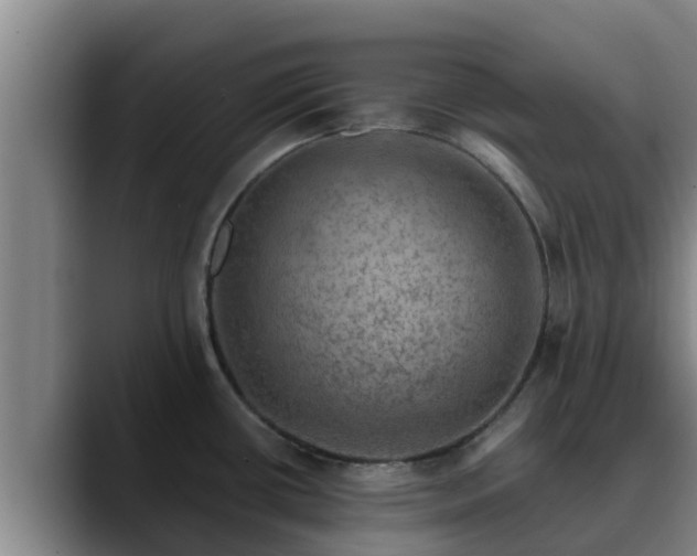 X0000090421434200707201110