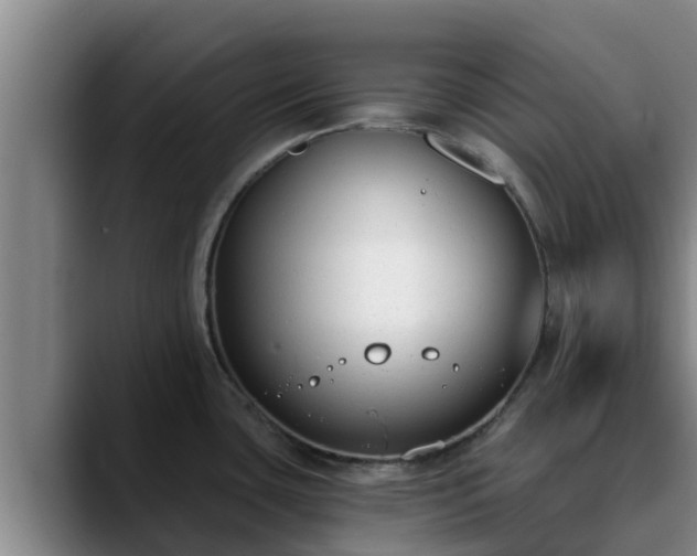 X0000090421435200707201110