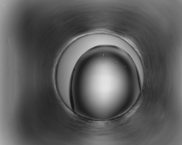 X0000090421438200707201110