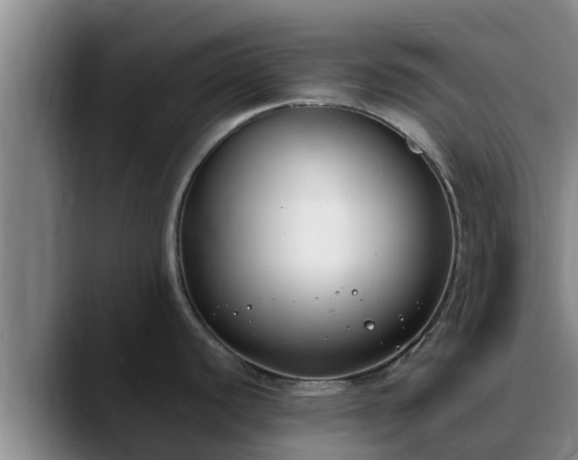 X0000090421440200707201110