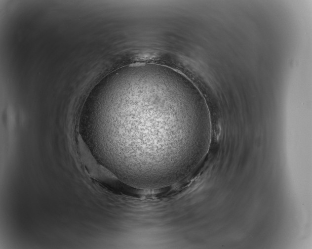 X0000090421441200707201110