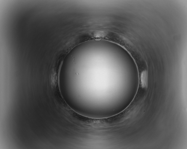 X0000090421443200707201110