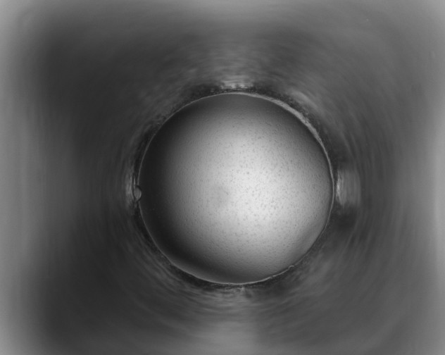 X0000090421444200707201110