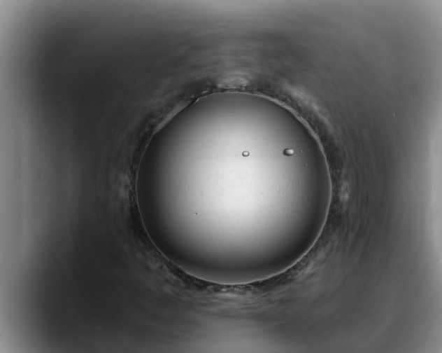 X0000090421445200707201110