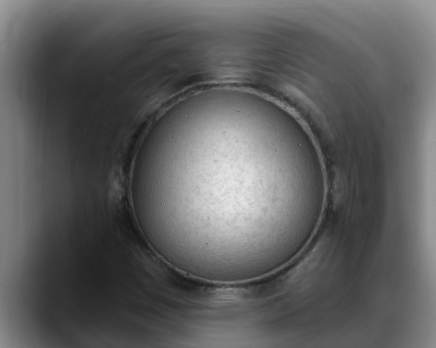 X0000090421449200707201110