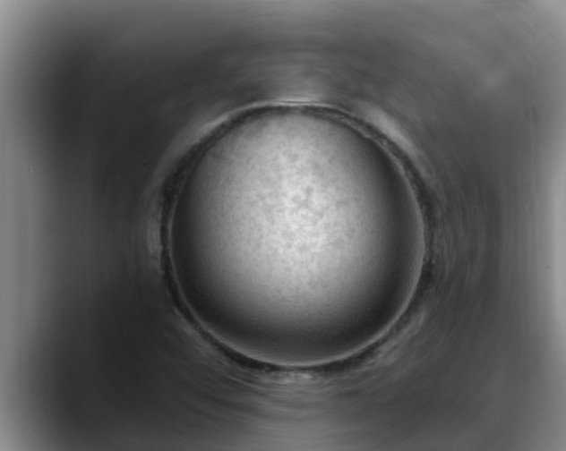 X0000090421456200707201109