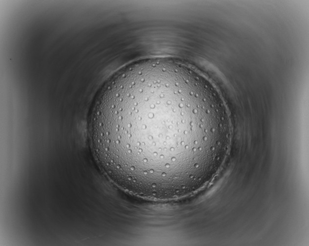 X0000090421457200707201109