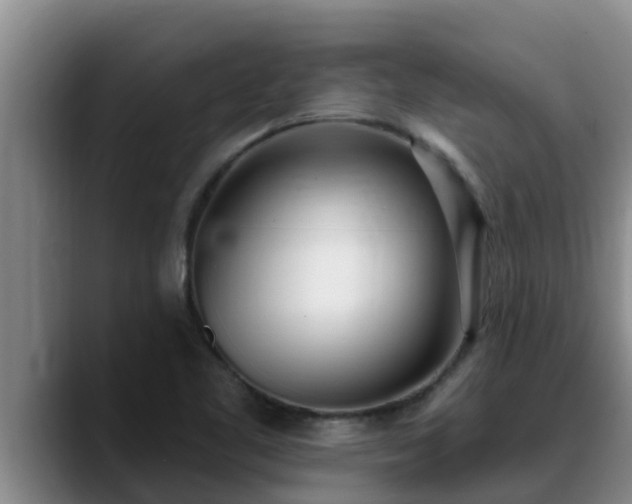 X0000090421461200707201109