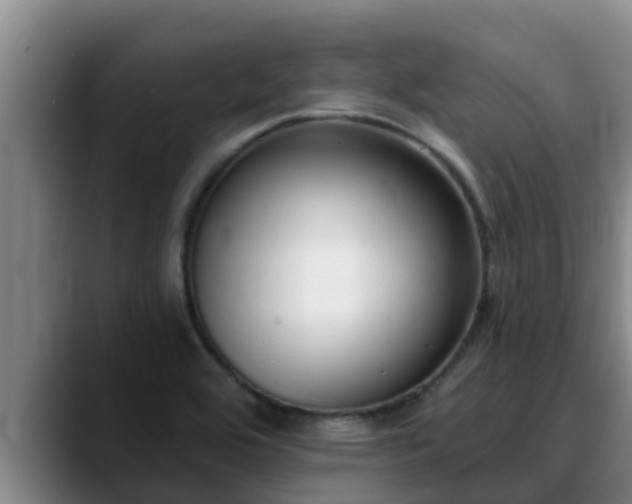 X0000090421464200707201109