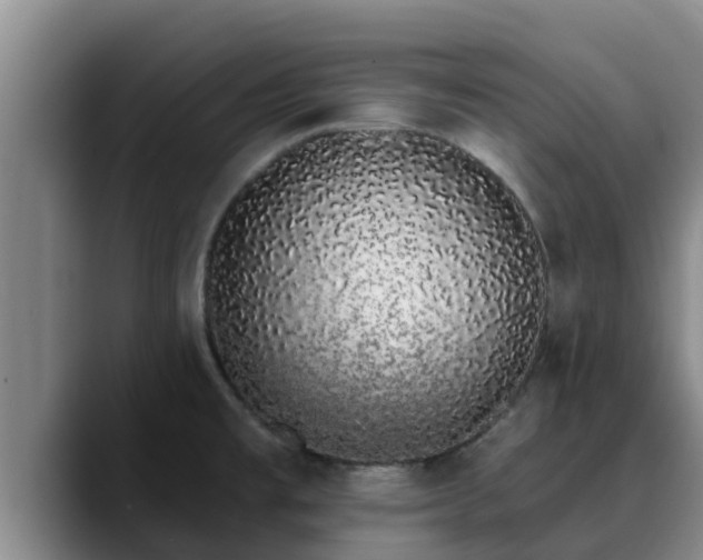 X0000090421477200707201109