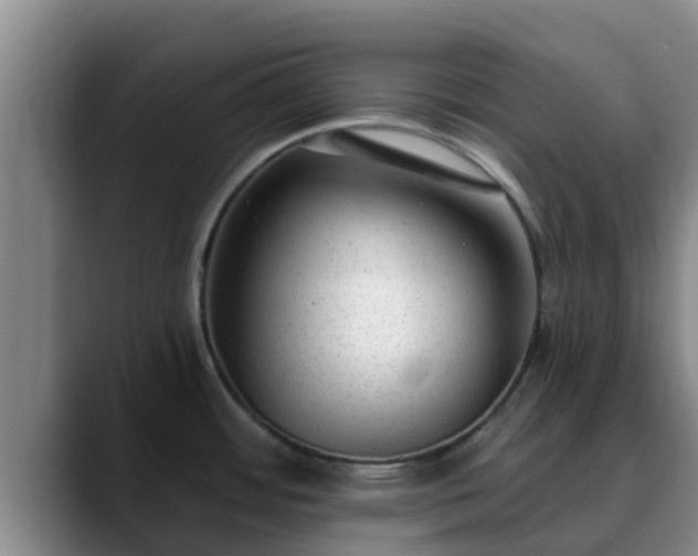 X0000090421484200707201109