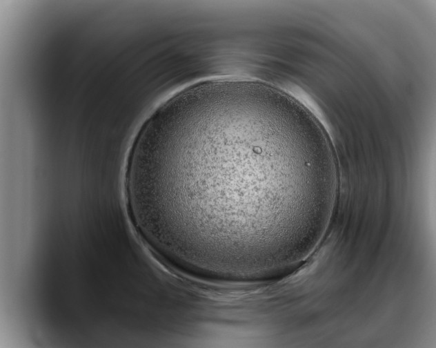 X0000090421485200707201109