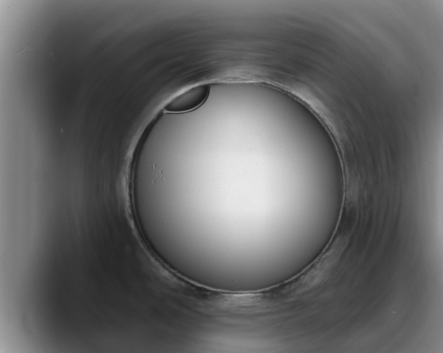 X0000090421486200707201109