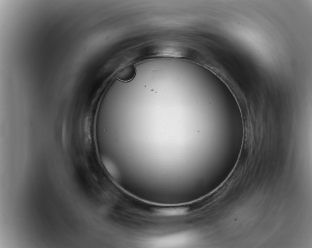 X0000090421487200707201109