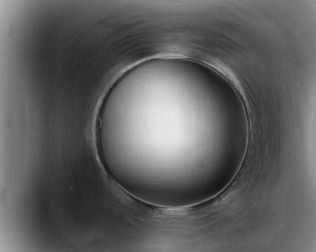 X0000090421488200707201109