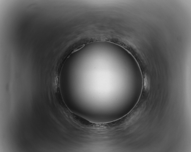 X0000090421492200707201109
