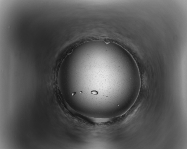 X0000090421494200707201109