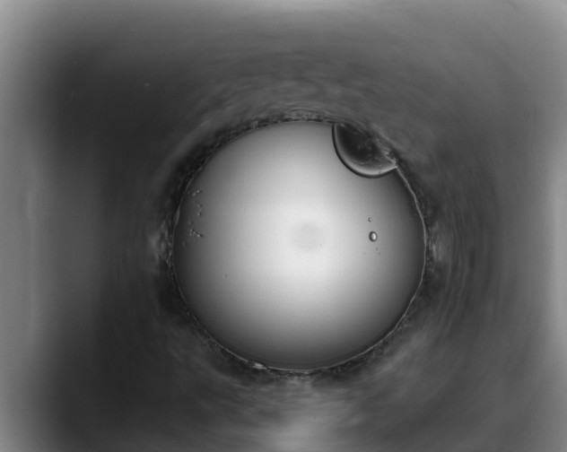 X0000090421495200707201109