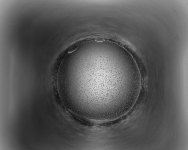 X0000090421496200707201109