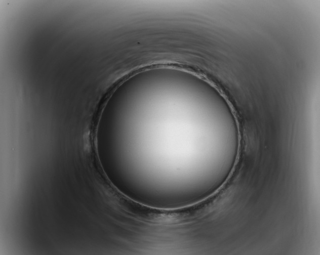X0000090421497200707201109
