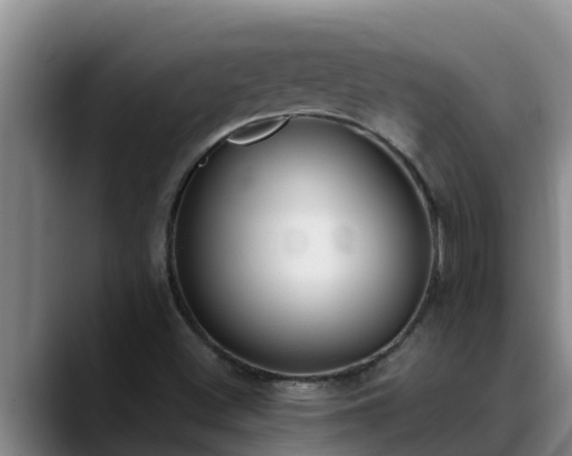 X0000090421500200707201109