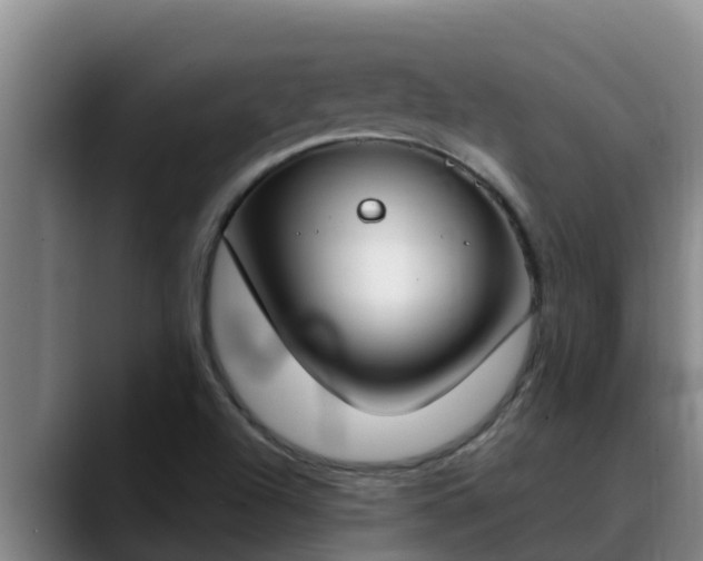 X0000090421504200707201109