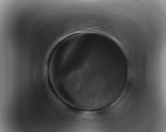 X0000090421506200707201109