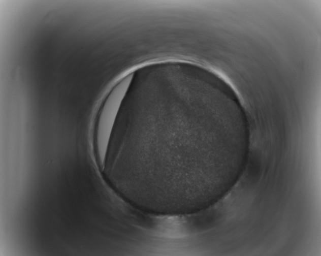 X0000090421508200707201109