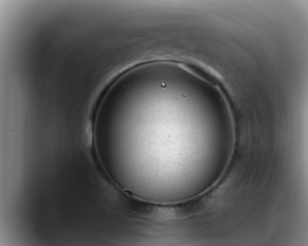 X0000090421509200707201109