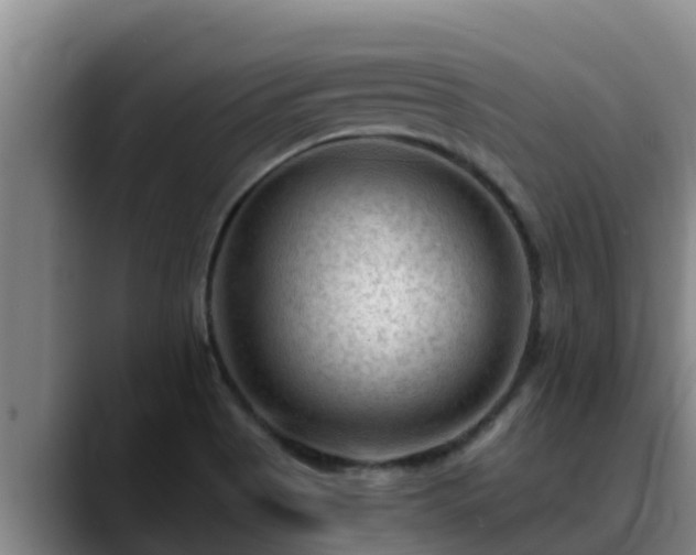 X0000090421513200707201109