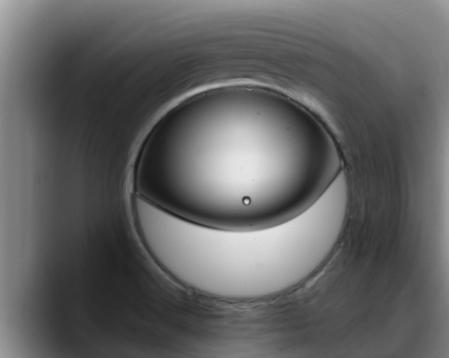 X0000090421516200707201109
