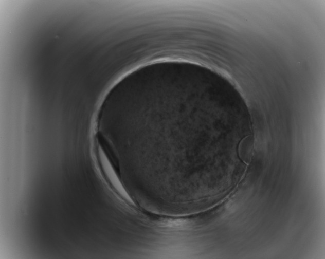 X0000090421522200707201109
