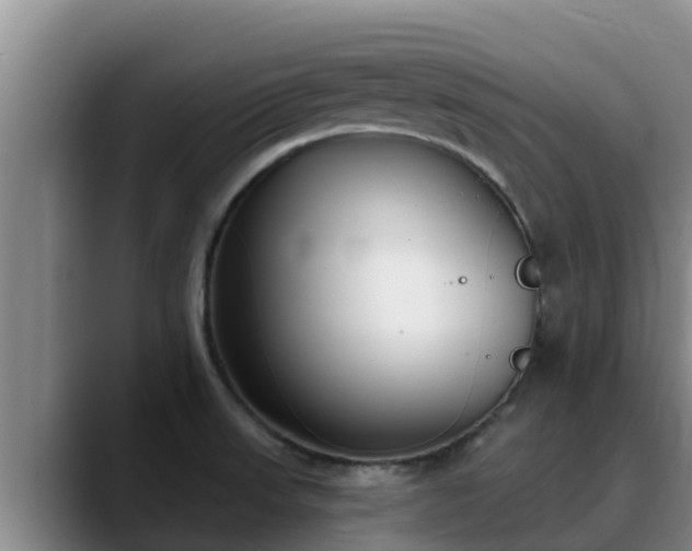 X0000090421523200707201109