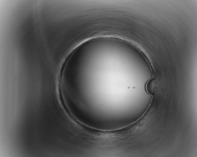 X0000090421525200707201109